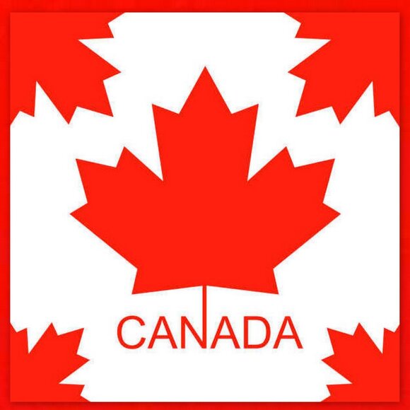 Comprehensive Collection of Canada 1920 to 1969 Pennies! - Picture 15 of 16